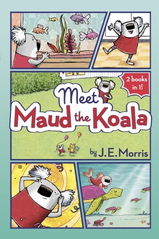 Meet Maud the Koala