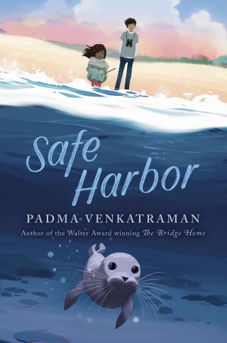 Safe Harbor