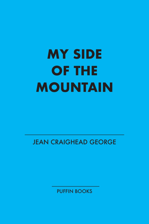 Cover image for book My Side of the Mountain