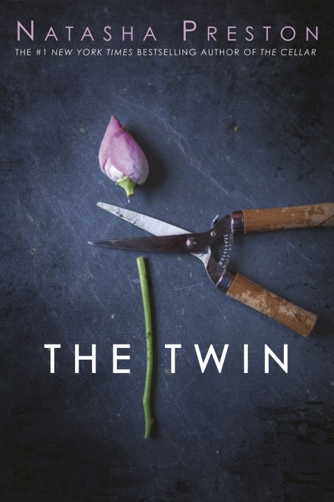 Cover image for book The Twin