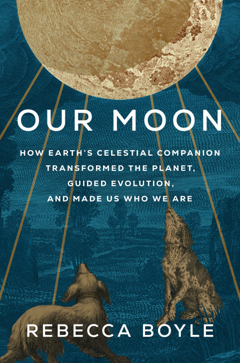 Cover image for book Our Moon