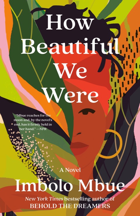 Cover image for book How Beautiful We Were
