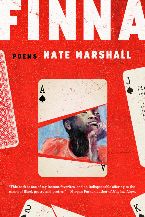 Cover image for book Finna
