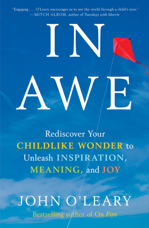 Cover image for book In Awe