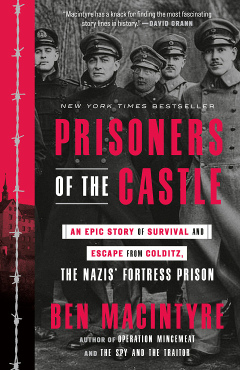 Cover image for book Prisoners of the Castle