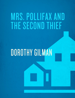 Mrs. Pollifax and the Second Thief