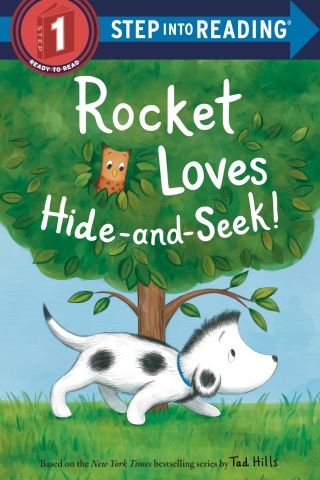Rocket Loves Hide-and-Seek!