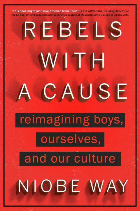 Cover image for book Rebels with a Cause