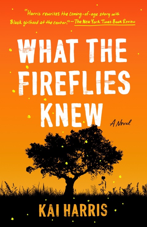 Cover image for book What the Fireflies Knew
