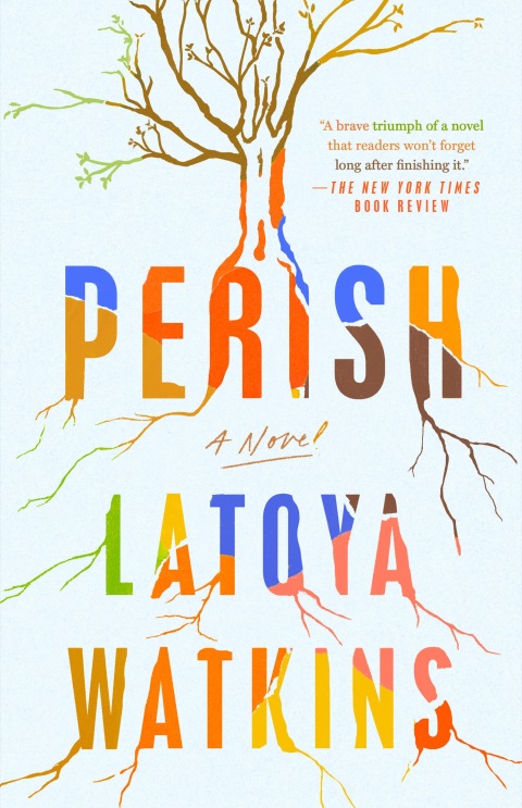 Cover image for book Perish