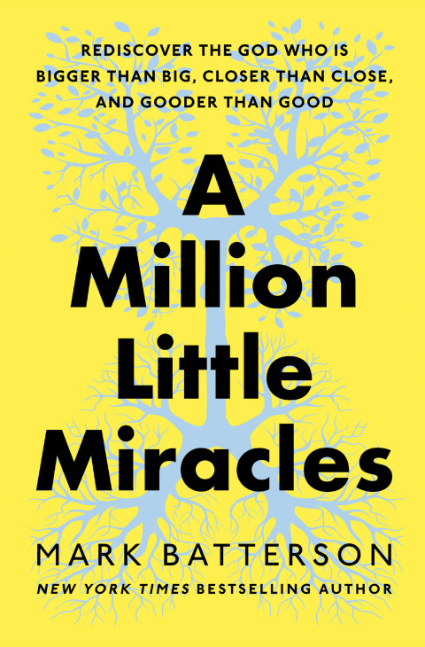Cover image for book A Million Little Miracles