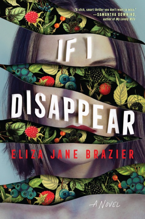 Cover image for book If I Disappear
