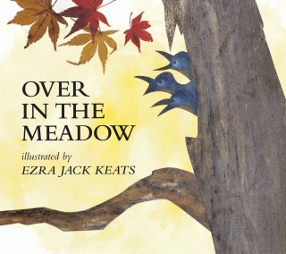 Over in the Meadow