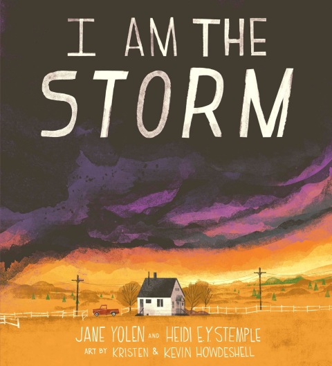 Cover image for book I Am the Storm