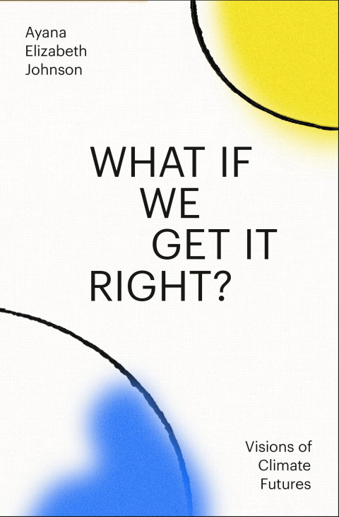 Cover image for book What If We Get It Right?
