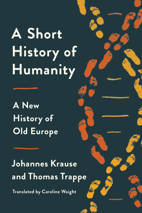 Cover image for book A Short History of Humanity