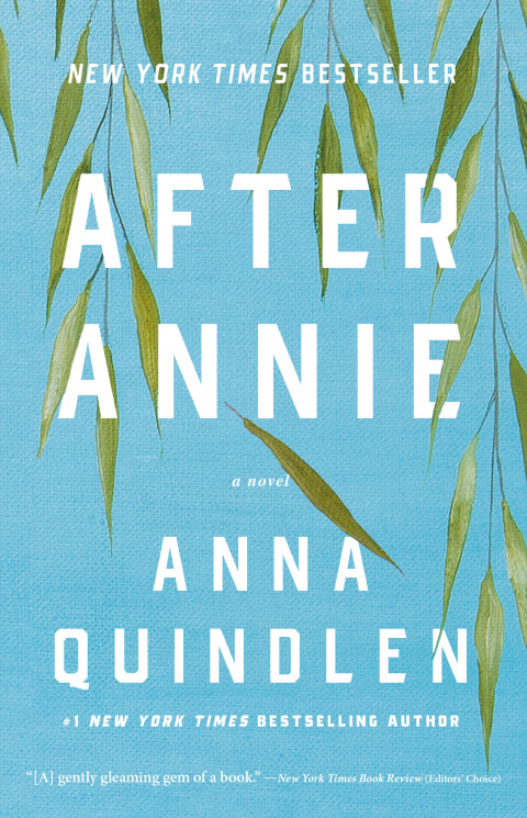 Cover image for book After Annie