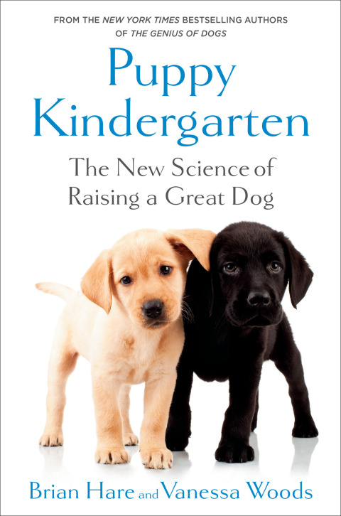 Cover image for book Puppy Kindergarten