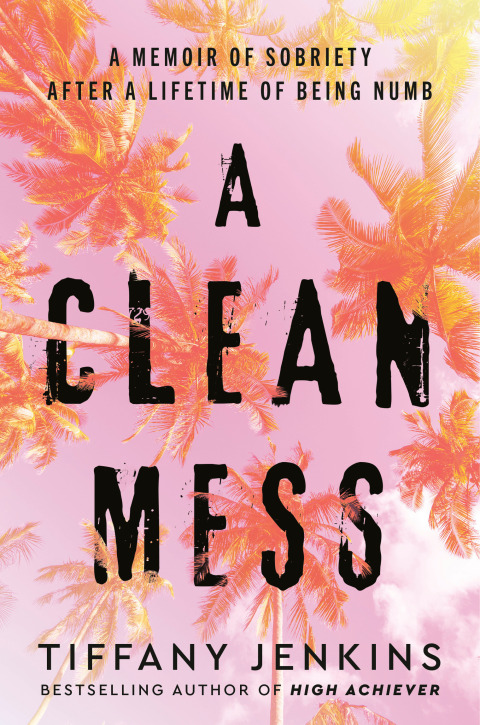 Cover image for book A Clean Mess