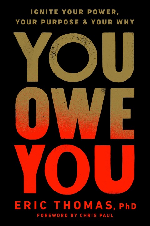 Cover image for book You Owe You