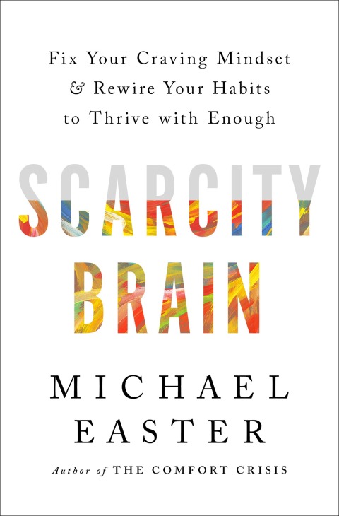 Cover image for book Scarcity Brain
