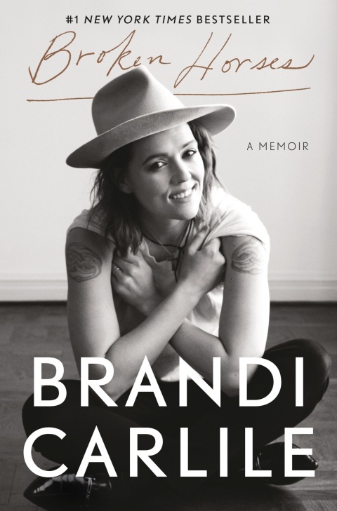 Cover image for book Broken Horses