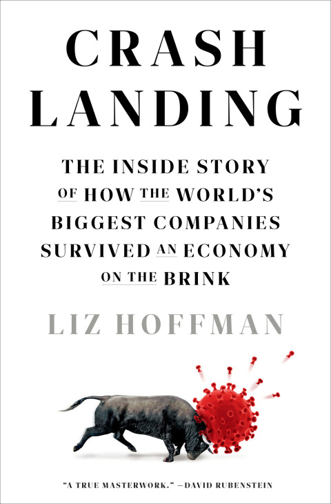 Cover image for book Crash Landing