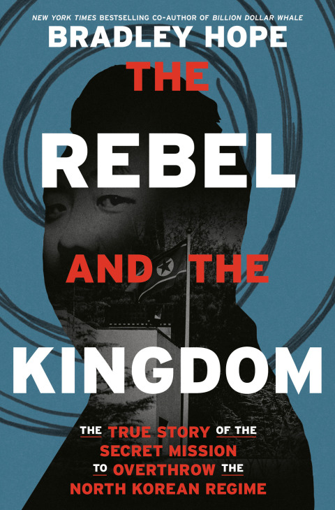 Cover image for book The Rebel and the Kingdom