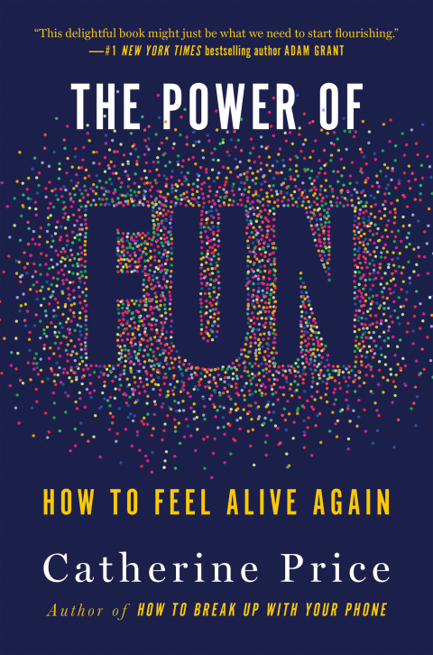 Cover image for book The Power of Fun