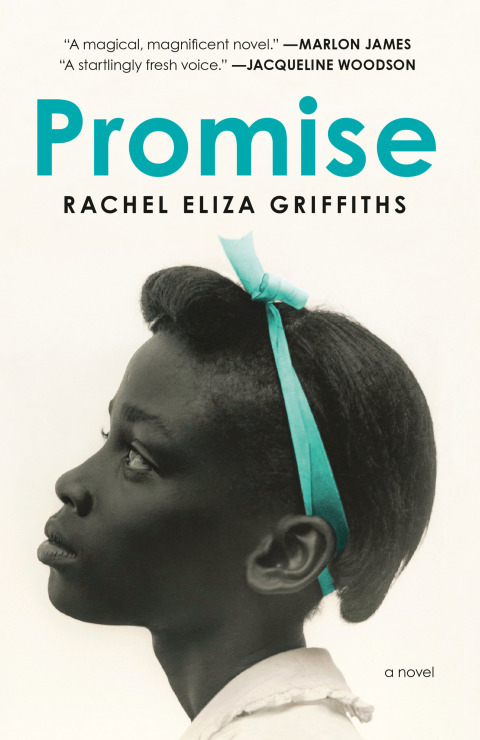Cover image for book Promise