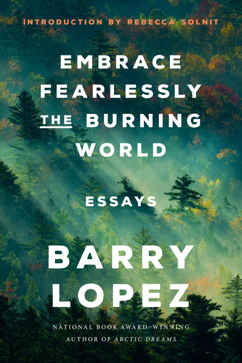 Cover image for book Embrace Fearlessly the Burning World