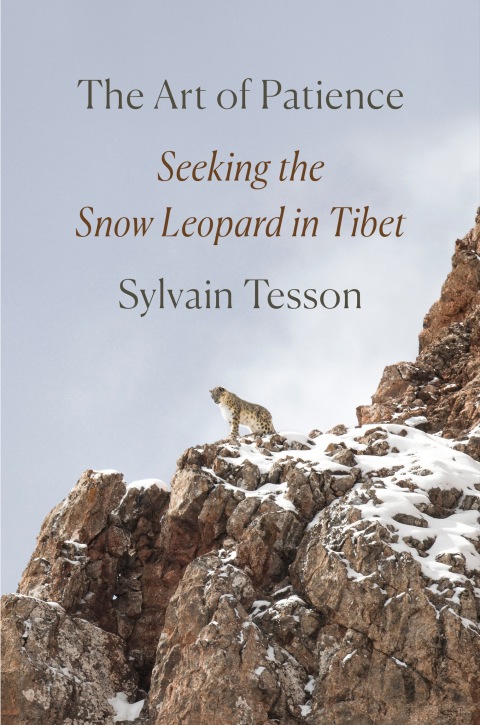 Cover image for book The Art of Patience