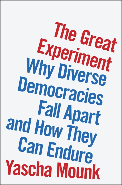 Cover image for book The Great Experiment
