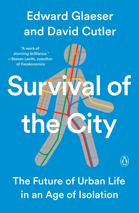 Cover image for book Survival of the City