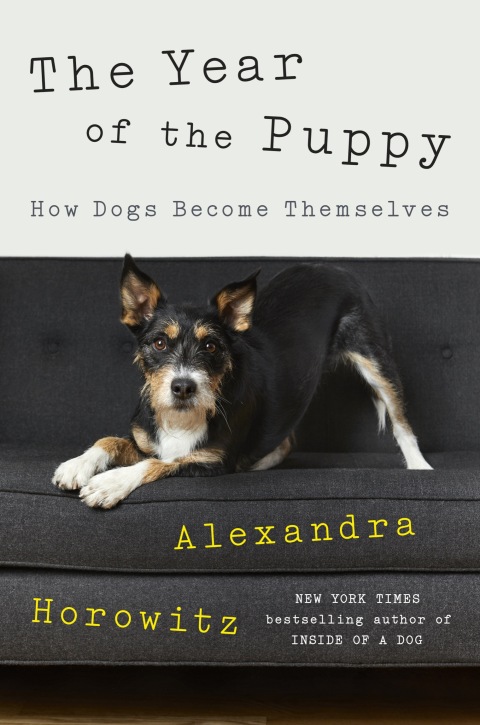 Cover image for book The Year of the Puppy