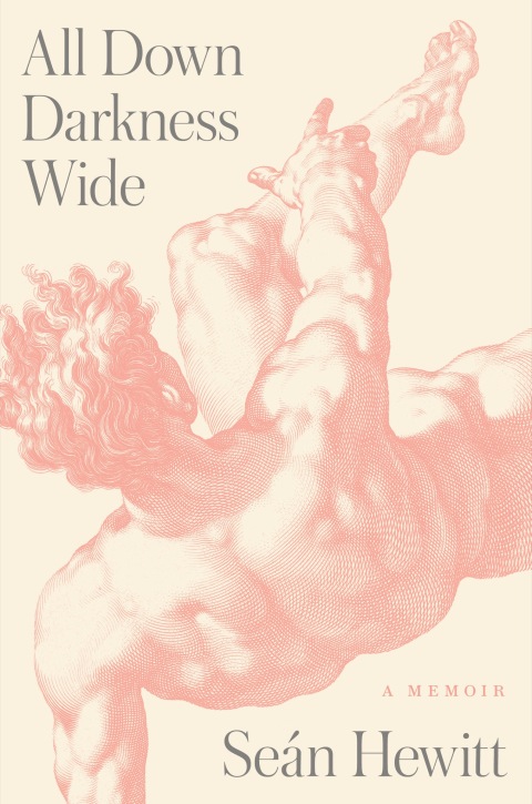 Cover image for book All Down Darkness Wide