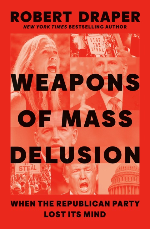 Cover image for book Weapons of Mass Delusion