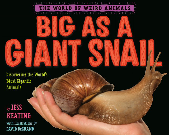 Big as a Giant Snail