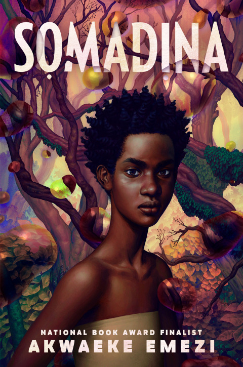 Cover image for book Somadina
