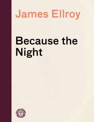Because the Night