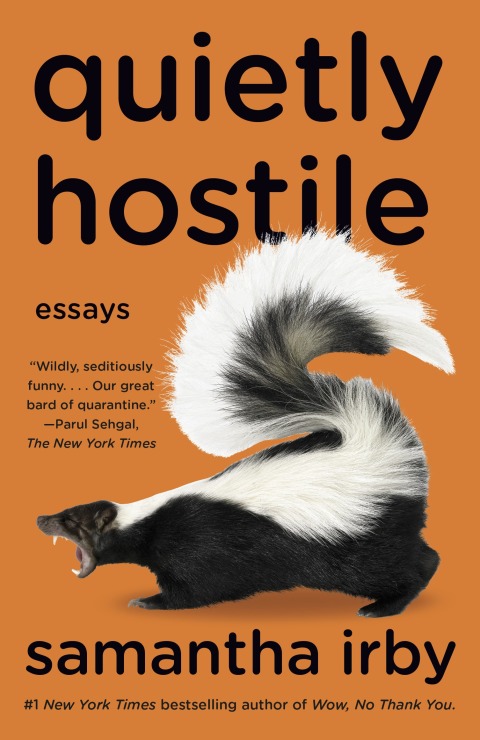 Cover image for book Quietly Hostile
