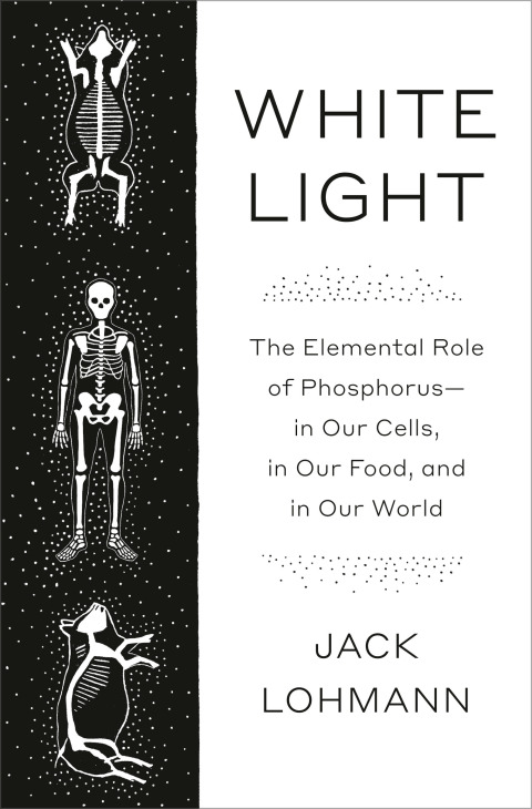 Cover image for book White Light