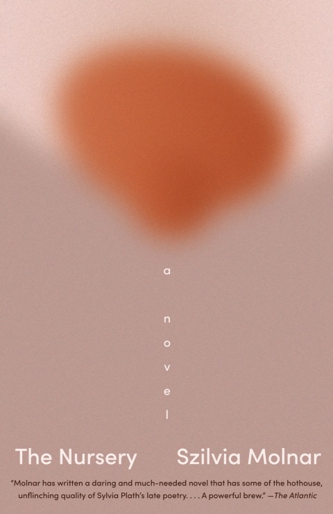 Cover image for book The Nursery