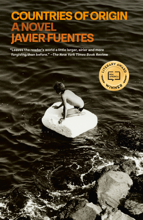 Cover image for book Countries of Origin