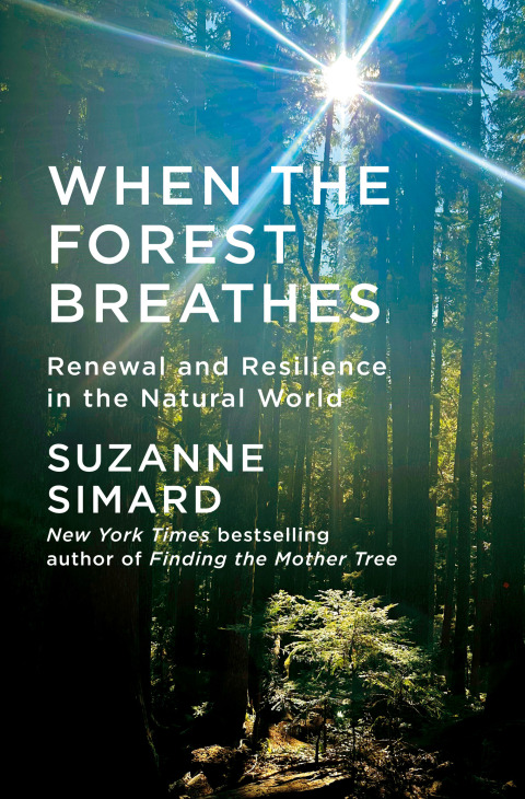 Cover image for book When the Forest Breathes
