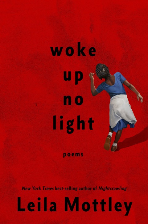Cover image for book woke up no light