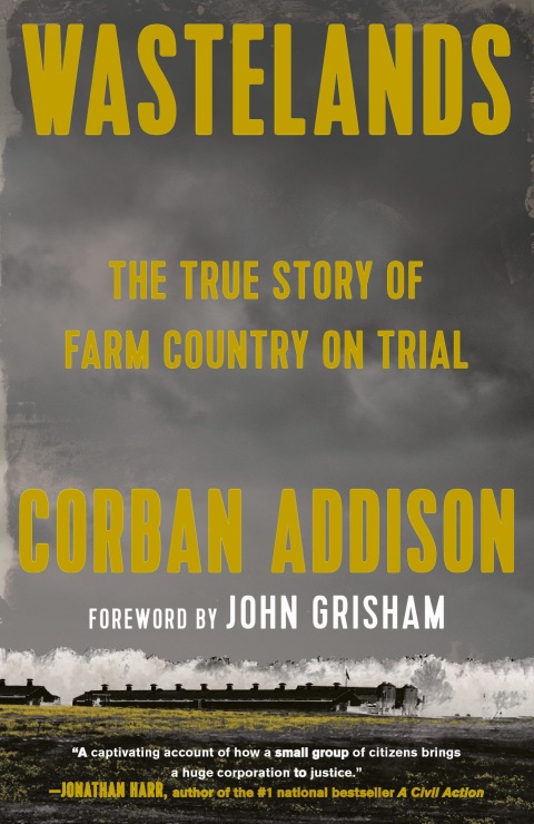 Cover image for book Wastelands