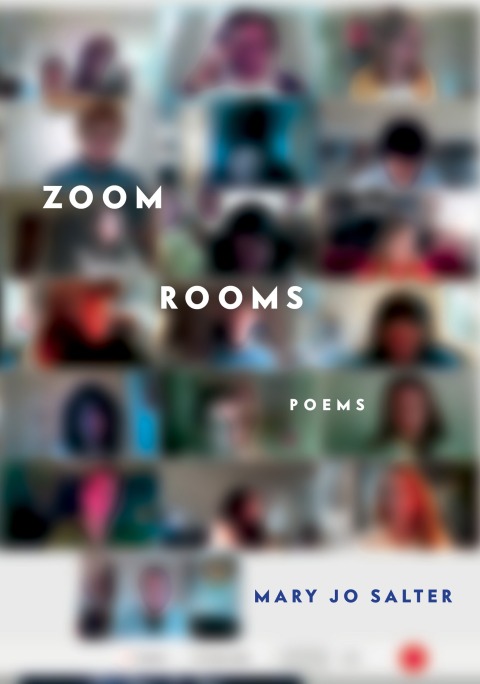 Cover image for book Zoom Rooms