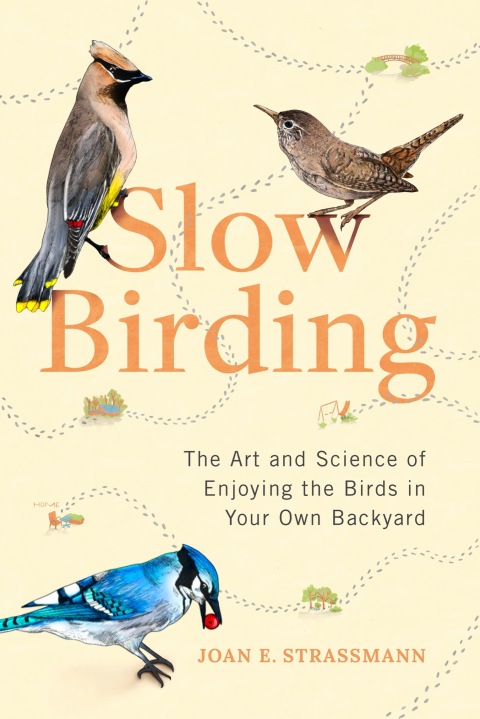 Cover image for book Slow Birding
