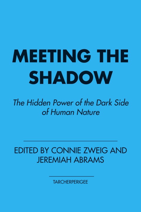 Cover image for book Meeting the Shadow